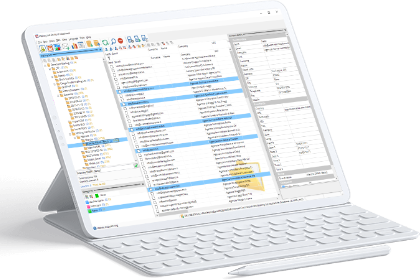 sviluppo software